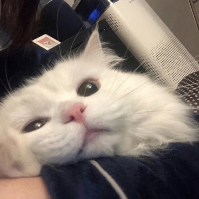 石家庄新突破！正定新区强势崛起